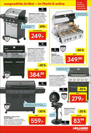 Hellweg Flugblatt woche 23 Seite 17