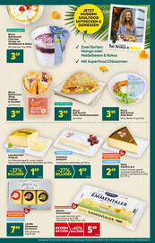 Billa Flugblatt woche 23 Seite 11