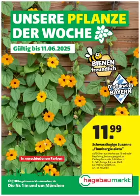 Hagebau Prospekt (gültig bis 12-06)