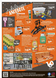 V Baumarkt Prospekt woche 24 Seite 8