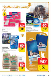 Carrefour folder Pagina 9