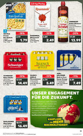 Kaufland Prospekt woche 23 Seite 13