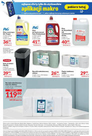 Makro gazetka Strona 17