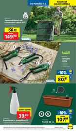 Lidl leták týden 24 Strana 13