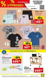Lidl leták týden 24 Strana 26