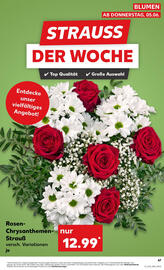 Kaufland Prospekt woche 23 Seite 67