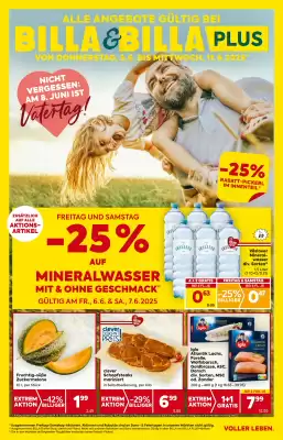 Billa Corso Flugblatt (gültig bis 11-06)
