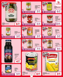 Selgros gazetka Strona 13