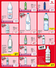 Selgros gazetka Strona 31