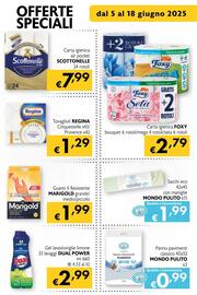 Volantino Maxi Supermercati Pagina 17