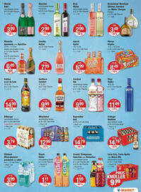 V Markt Prospekt woche 24 Seite 13
