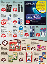 V Markt Prospekt woche 24 Seite 15
