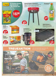 V Markt Prospekt woche 24 Seite 16