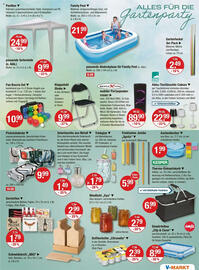 V Markt Prospekt woche 24 Seite 17