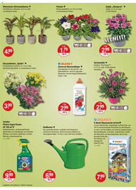V Markt Prospekt woche 24 Seite 20