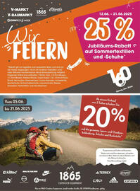 V Markt Prospekt woche 24 Seite 21