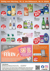 V Markt Prospekt woche 24 Seite 24