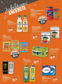 V Markt Prospekt woche 24 Seite 3