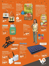 V Markt Prospekt woche 24 Seite 4