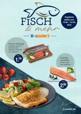 V Markt Prospekt (gültig bis 25-06)