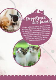 Zookauf Prospekt Seite 13