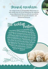 Zookauf Prospekt Seite 12