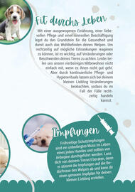 Zookauf Prospekt Seite 13