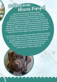Zookauf Prospekt Seite 3