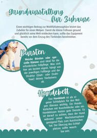 Zookauf Prospekt Seite 6