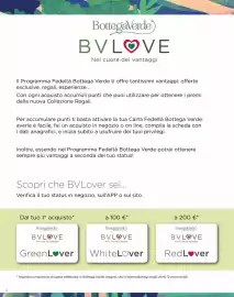 Volantino Bottega Verde Pagina 2