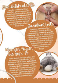 Zookauf Prospekt Seite 11