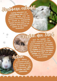Zookauf Prospekt Seite 7