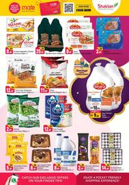 Shaklan catalogue Page 3
