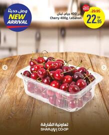 Sharjah Co-op catalogue Page 2