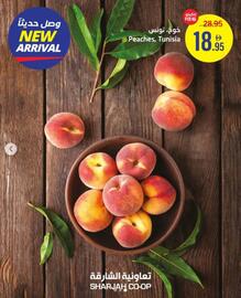 Sharjah Co-op catalogue Page 3