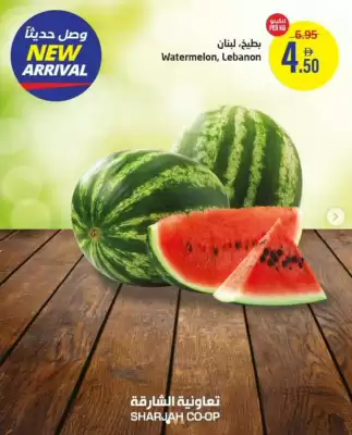 Sharjah Co-op catalogue (valid until 8-06)