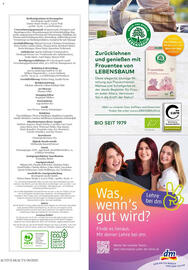 dm Flugblatt Seite 117