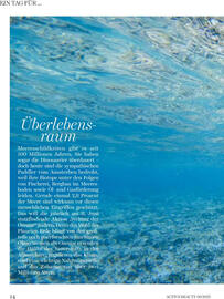 dm Flugblatt Seite 14