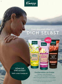 dm Flugblatt Seite 22