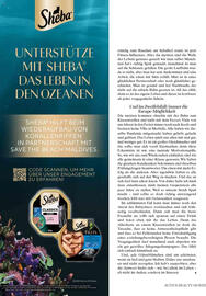 dm Flugblatt Seite 26
