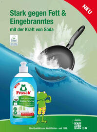 dm Flugblatt Seite 84