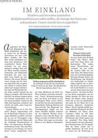 dm Flugblatt Seite 87
