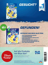 dm Flugblatt Seite 92