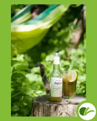 Maran Vegan Flugblatt (gültig bis 18-06)