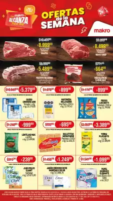 Catálogo Makro (válido hasta 11-06)