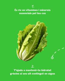 Folleto Sorli Página 2
