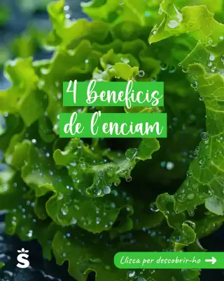 Folleto Sorli (válido hasta el 22-06)
