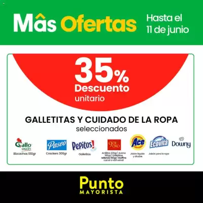 Catálogo Punto Mayorista (válido hasta 12-06)