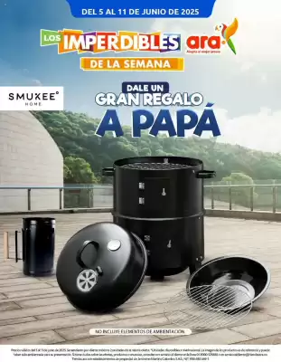 Catálogo Ara (válido hasta 12-06)