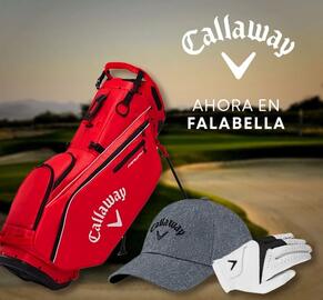 Catálogo Falabella Página 17